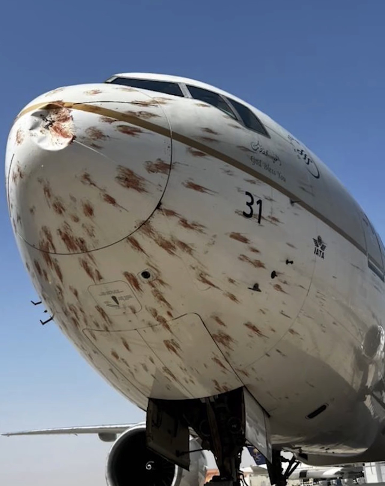 Sekelompok Burung Tabrak Pesawat Saudia Airlines di Aljazair, Hidung Pesawat Rusak